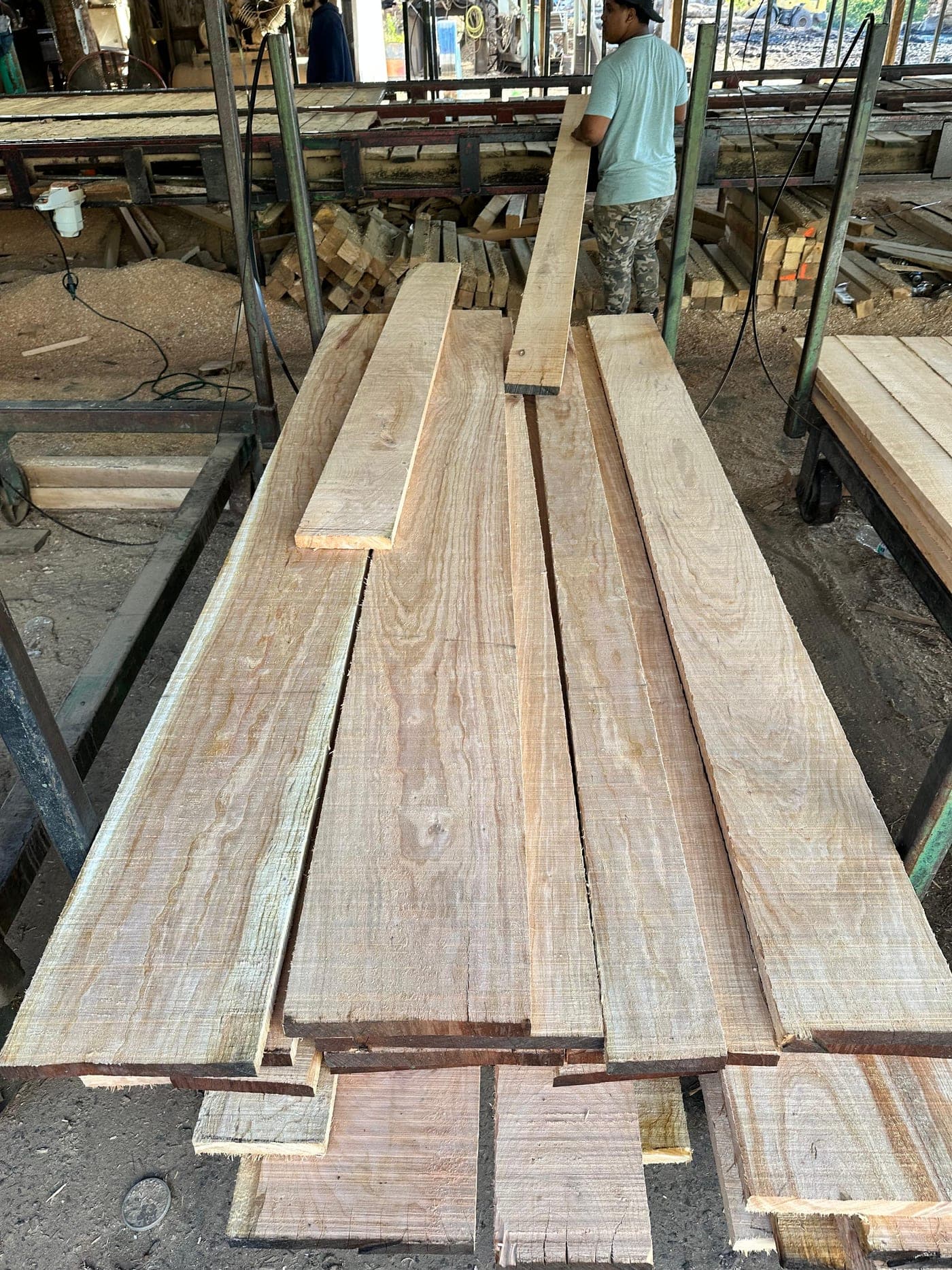 Freshly sawn boards at our sawmill.