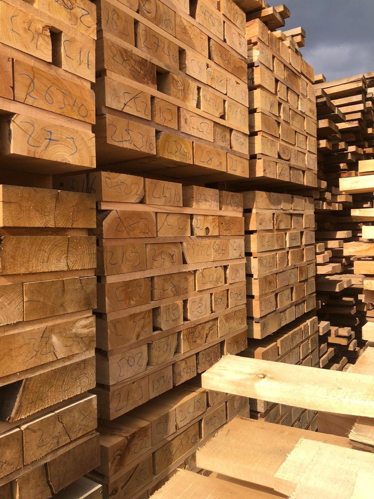 Lumber stacked on stickers, boards waiting to dry.